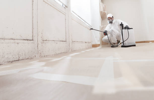 24/7 Emergency Mold Remediation experts in USA